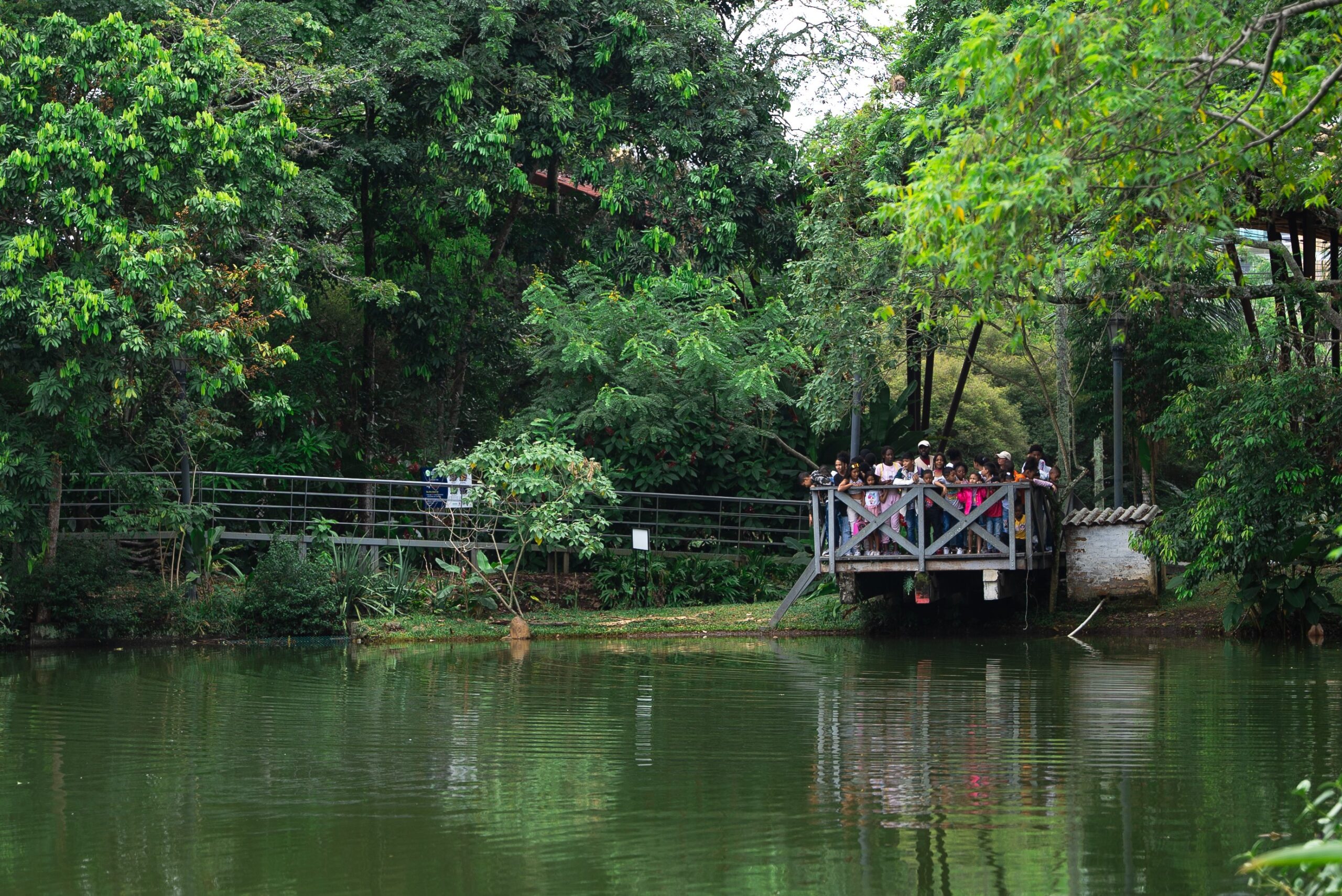 Ecoparque Lago de las Garzas muelle del lago