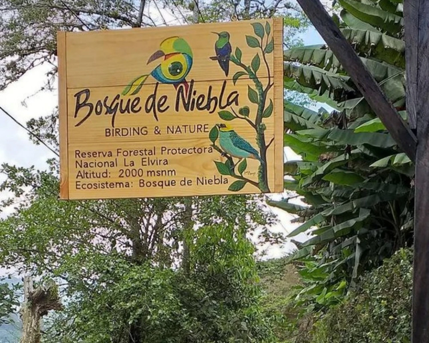 Ejemplo 2 Rural Tourism