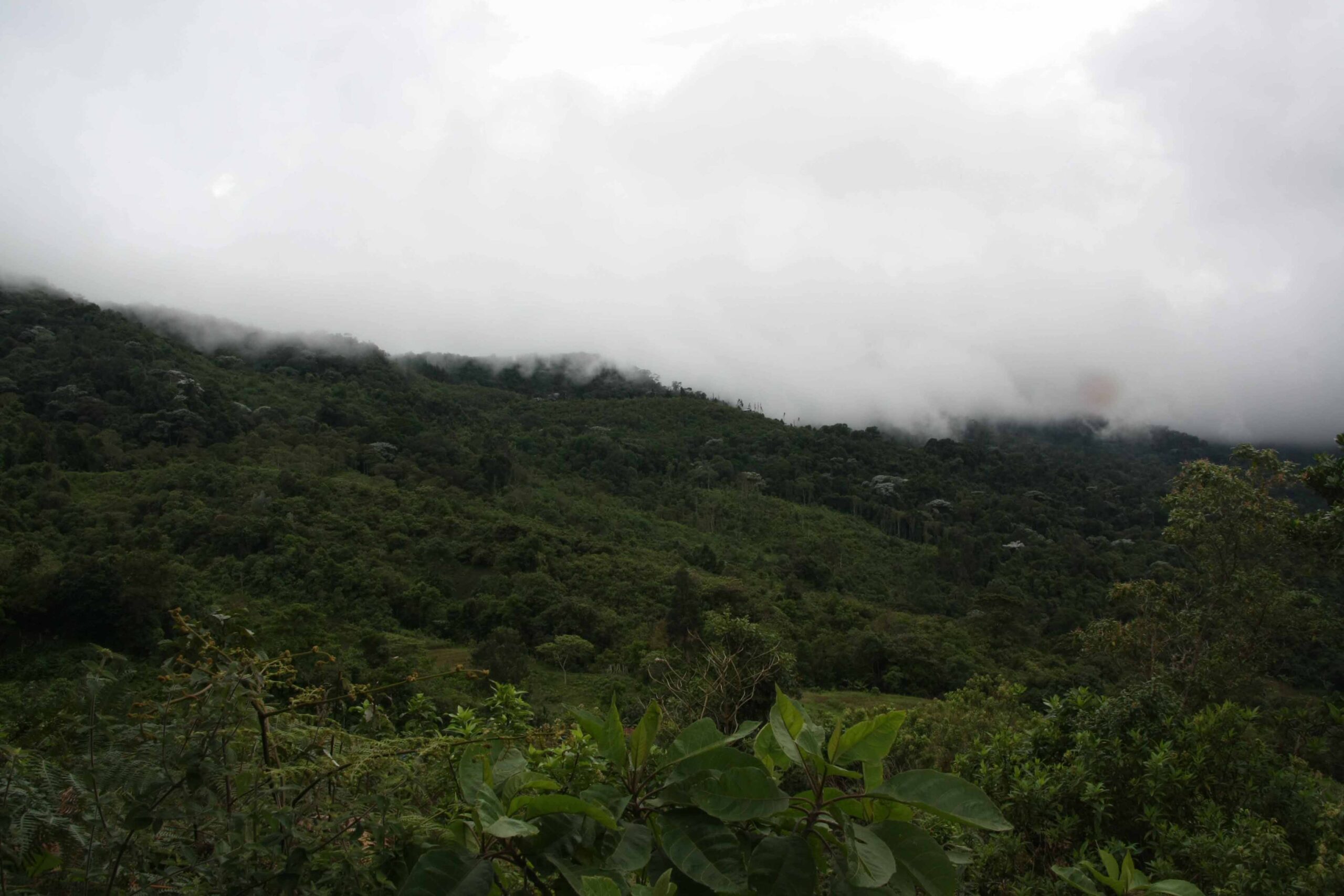 Ejemplo 1 Rural Tourism